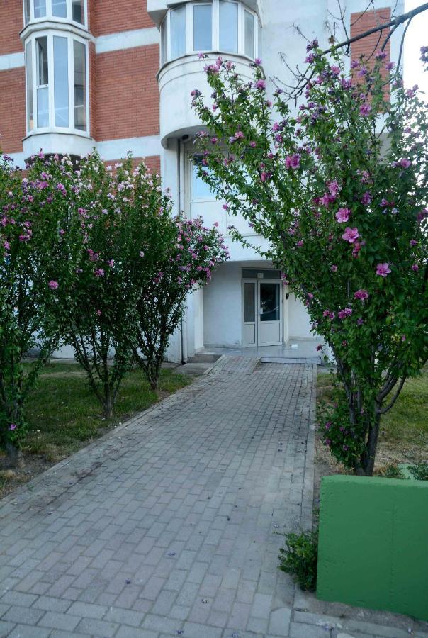 Central Lakeside Apartment أوهغيد المظهر الخارجي الصورة